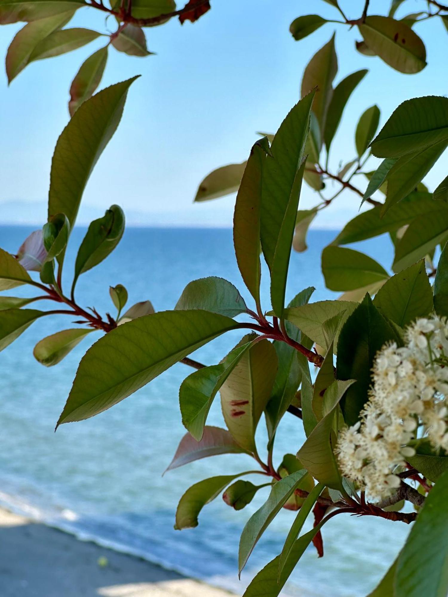 Filoxenia Paralia Εξωτερικό φωτογραφία