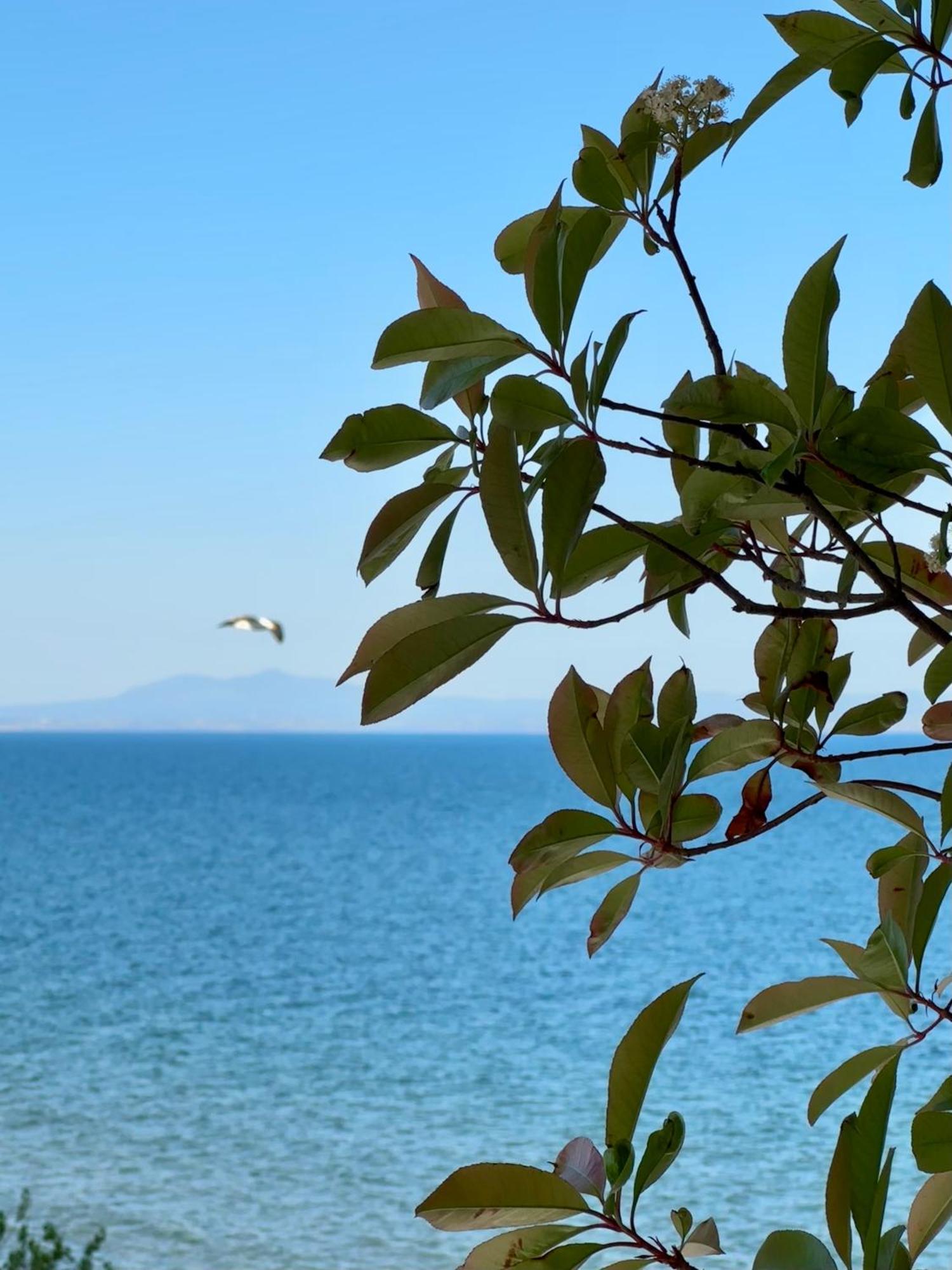Filoxenia Paralia Εξωτερικό φωτογραφία
